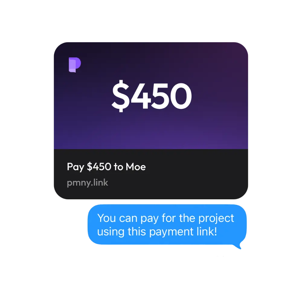 A $450 Pocket payment link sent in a chat with the message: you can pay for the project using this payment link